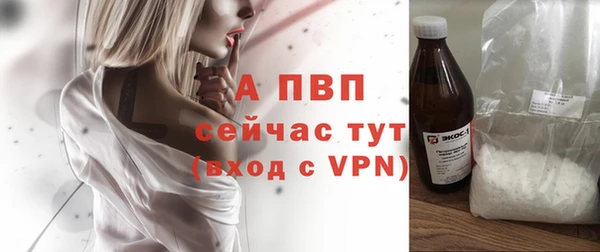 a pvp Иннополис