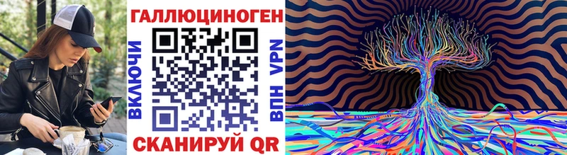 Купить закладки  Елизово  Галлюциногенные грибы Cubensis 